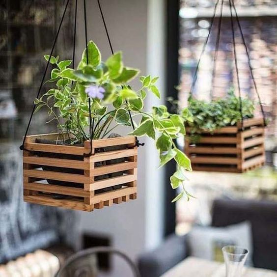Plantes dans un petit espace - utilisez vos plafonds